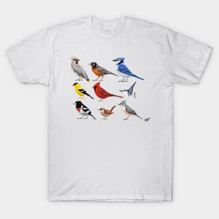 The year of the bird (North America) T-Shirt